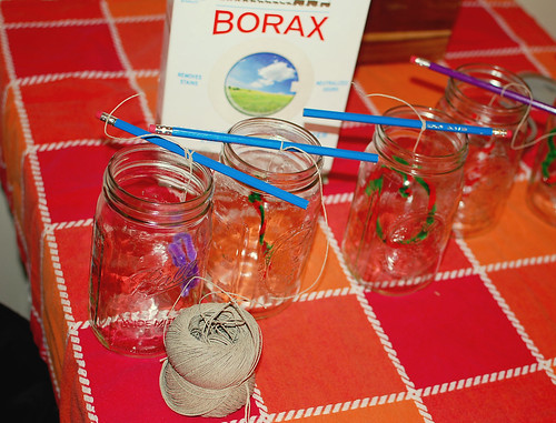 Making Borax Crystal Ornaments