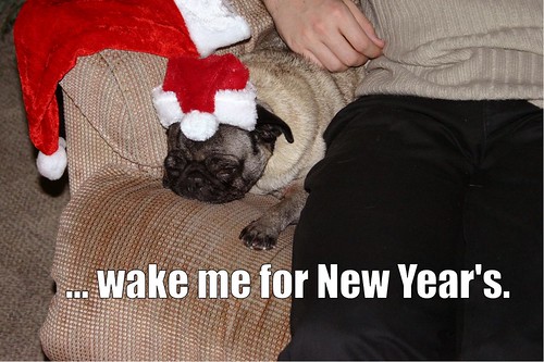 wake me for new years