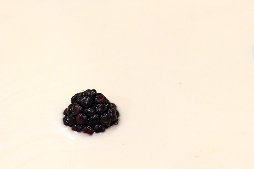 Embedded blackberry