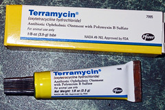 Terramycin eye ointment