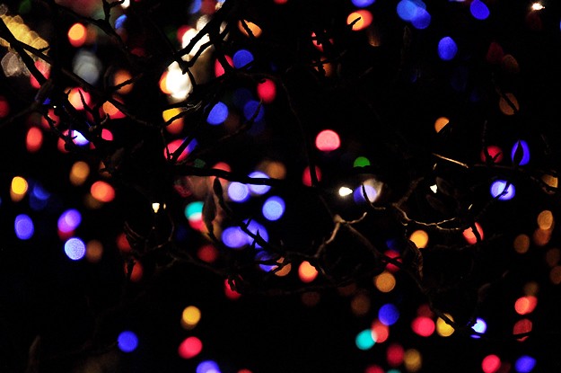 lights behind tree