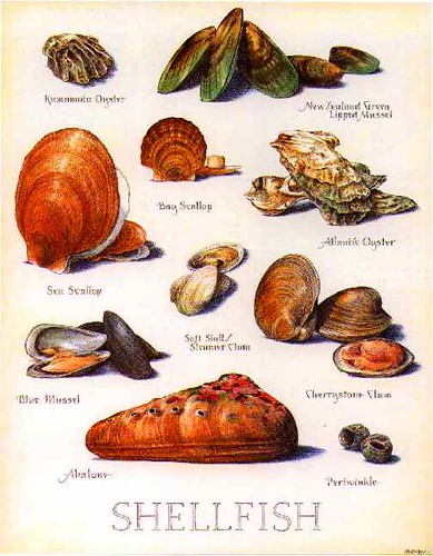 ntreev shellfish
