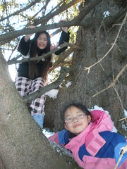 Girls in the Tree