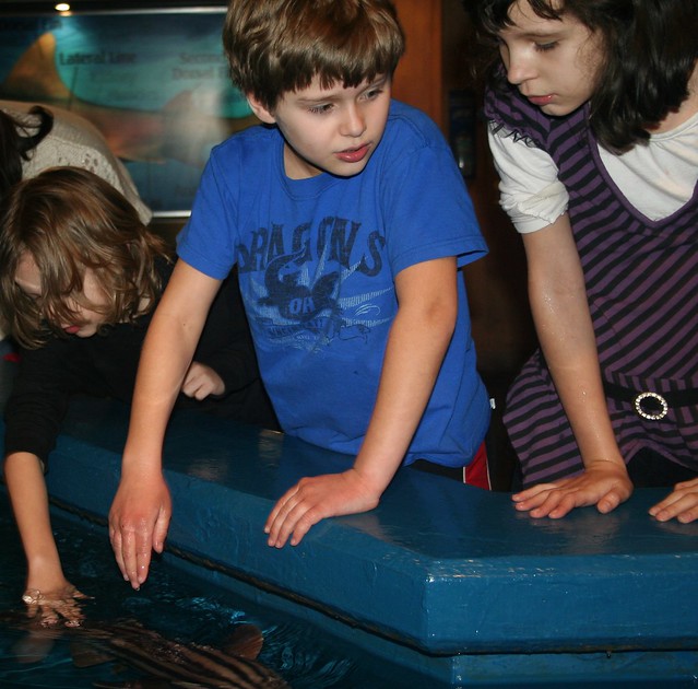 Newport Aquarium:  Seth, Zack, Maya