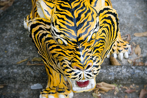 Tiger at Monkey Hill shrine