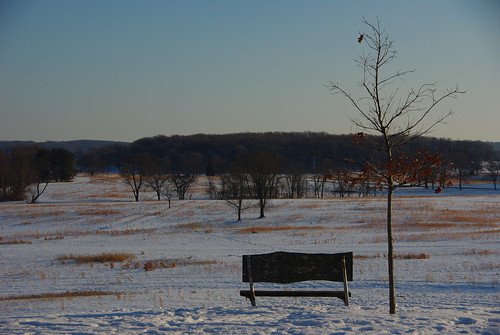 Park Bench at Valley Forge