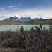 Laguna nel Parque Nacional Torres del Paine con i massicci granitici in lontananza