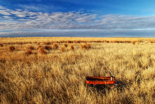 Wagon on the Prairie