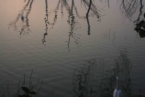 Photo Essay – Hauz Khas Lake, Near Green Park