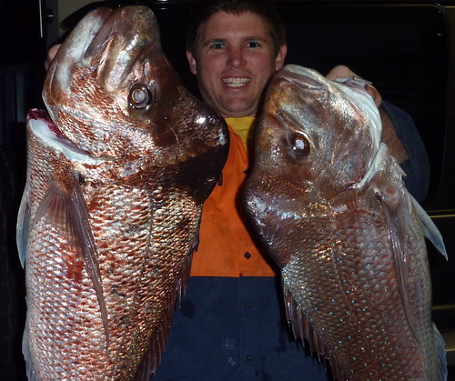 Awesome Australian Snapper