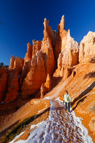 Bryce National Park in the snow-14.jpg