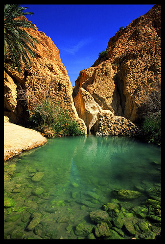 Oasi, Deserto Roccioso, Tunisia