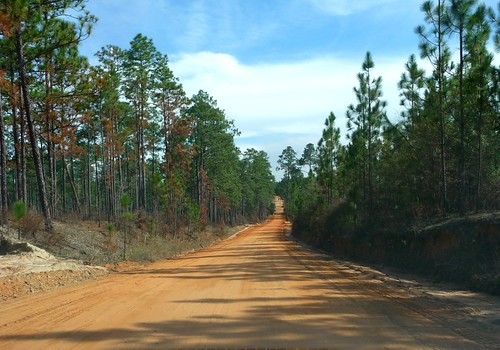 Clay road - Okaloosa County FL