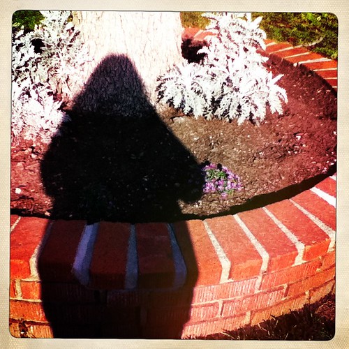 Day 62: My Shadow