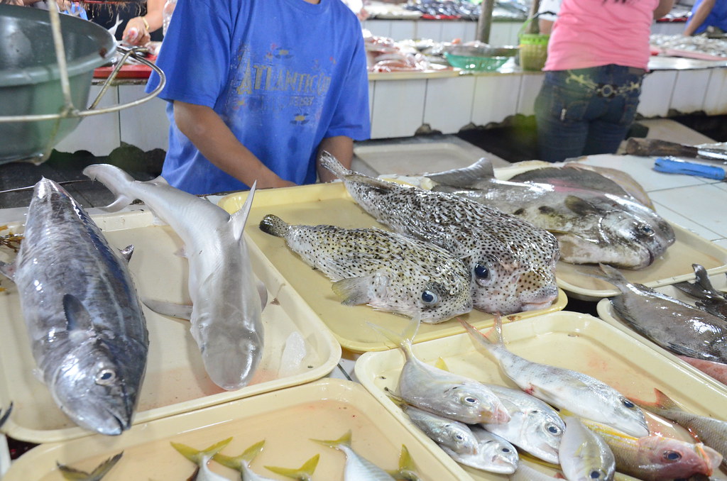 Shark in Palawan Market