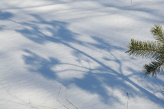 snow shadows 2011-03-06 011