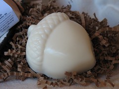 Acorn soap