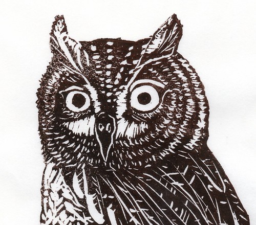 detail scan of screech-owl