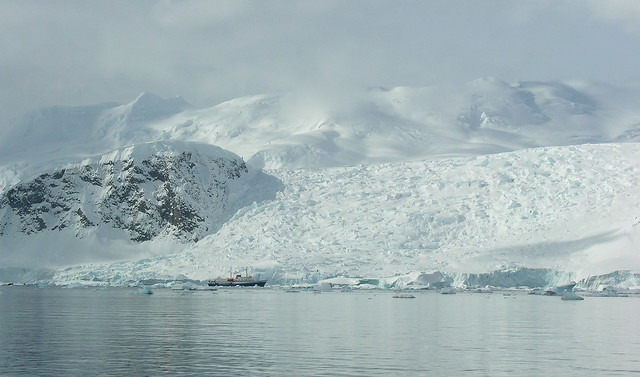 ANTARCTICA2010-498 Andvord Bay 南極 Andvord灣
