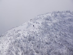 Lone hiker descending Colden's summit