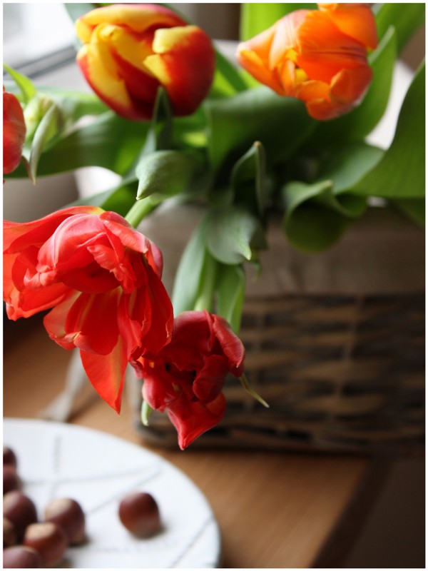 tulipe love