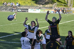 Rugby by Emily Bogden