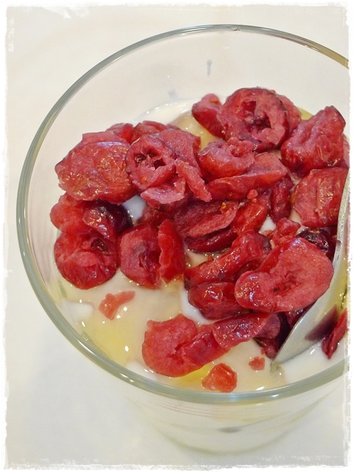 Homemade Yoghurt with Dried Cranberries