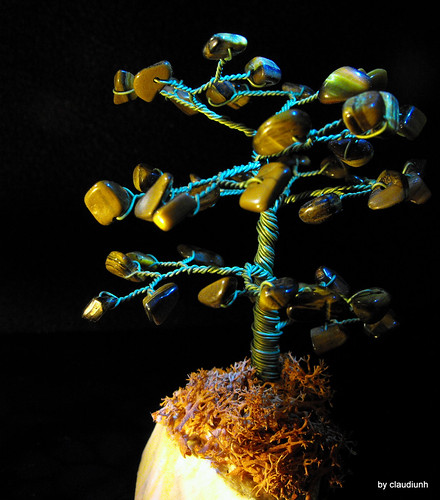 Copacelul cu fructe pietroase by claudiunh