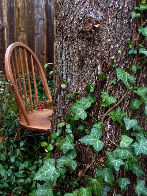 chair tree