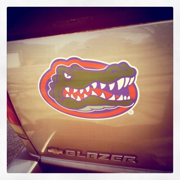 Now proudly displaying my team on my rear end #floridagators