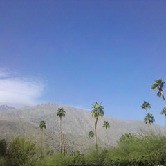 Hazy Sky over Palm Springs