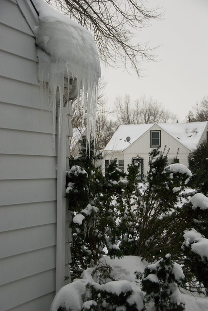 neighbor icicles