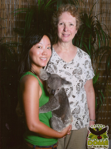 I held a koala!!