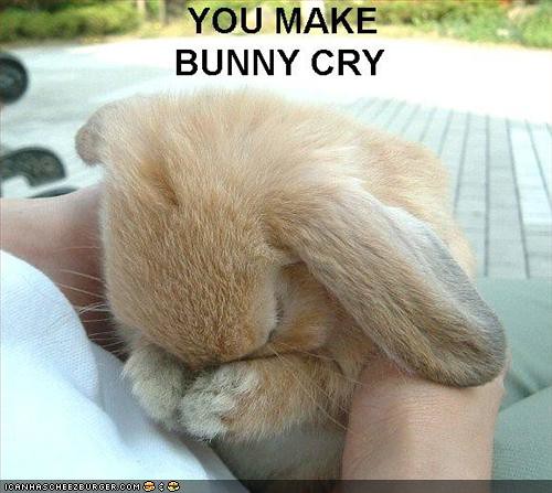 funny-pictures-bunny-is-sad