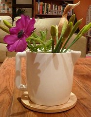 A teapot of flowers and Deidre