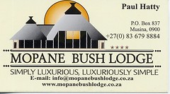 Mopani Bush Lodge 