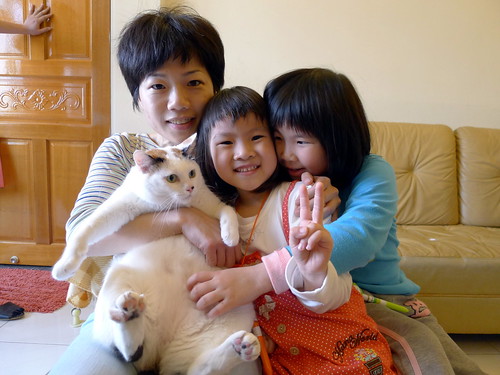阿珠家的貓－阿珠、荳荳與予蔚