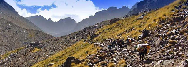 5489237016 b44bc10152 z Toubkal, valleys and summit: Depart, October 8th.