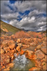 HDR - Los Padres National Forest 1
