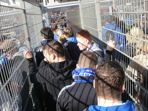 Schalke Fanclub Monasteria