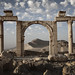 Palmyra Views