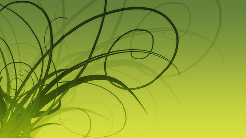 free spring desktop wallpaper. Free Spring Bud Green Foliage