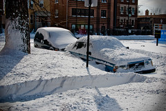 Chicago Winter Snow Blizzard 2011: Photo 15