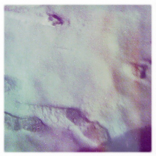 snow prints 02.24.11
