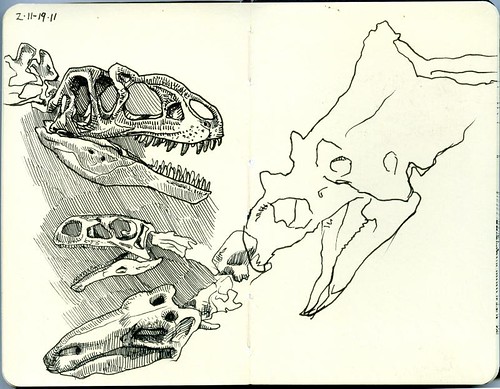 skulls at dinosaur quest