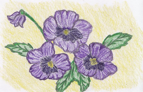 66/365 - Purple Pansies
