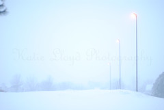 ligh-poles-in-blizzard-wm