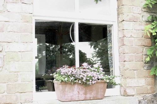 Cottage Window Box