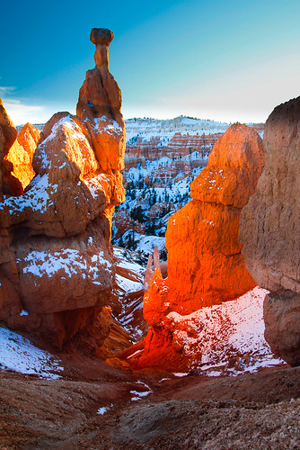 Bryce National Park in the snow-18.jpg