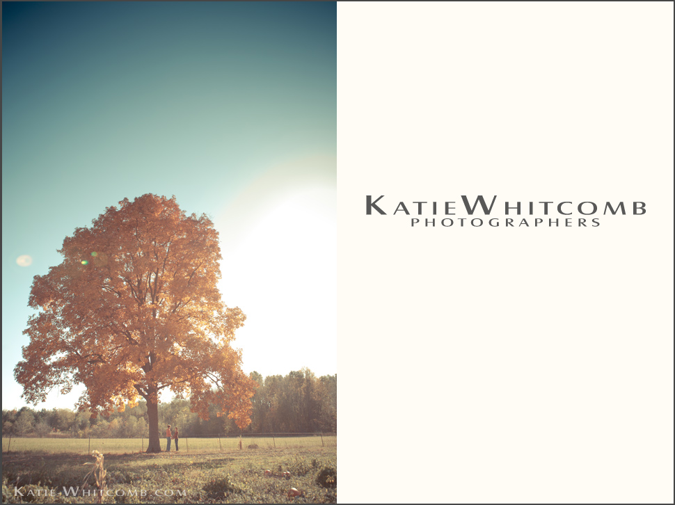 Katie.Whitcomb.Photographers_michelle.and.alex.by.the.tree